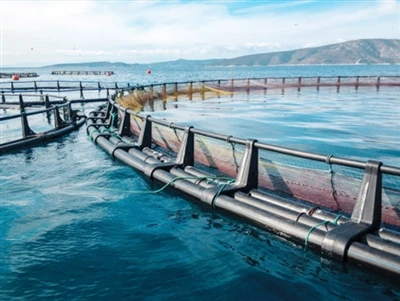 Industry Trends in Solar-Powered Seawater Pumps