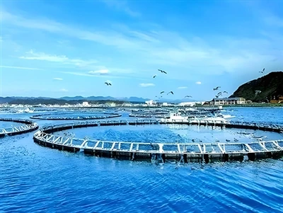 High-Pressure Solar Water Pump Selection Guide